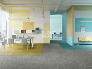 IVC Balanced Hues на акустической основе Echo Acoustic 954 фото 3 | FLOORDEALER